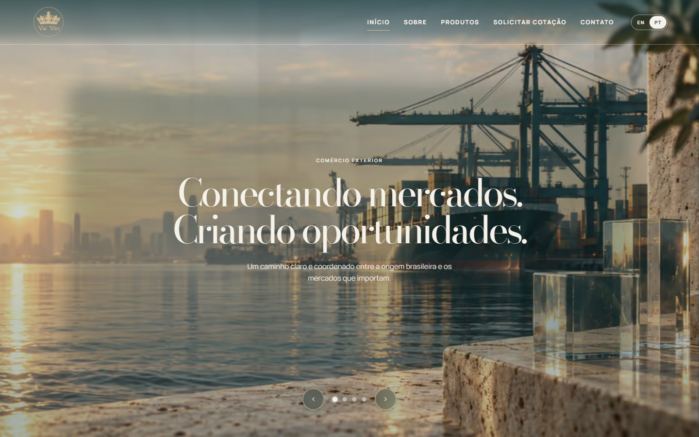 Página inicial da Vis Vitri em português, vista no desktop